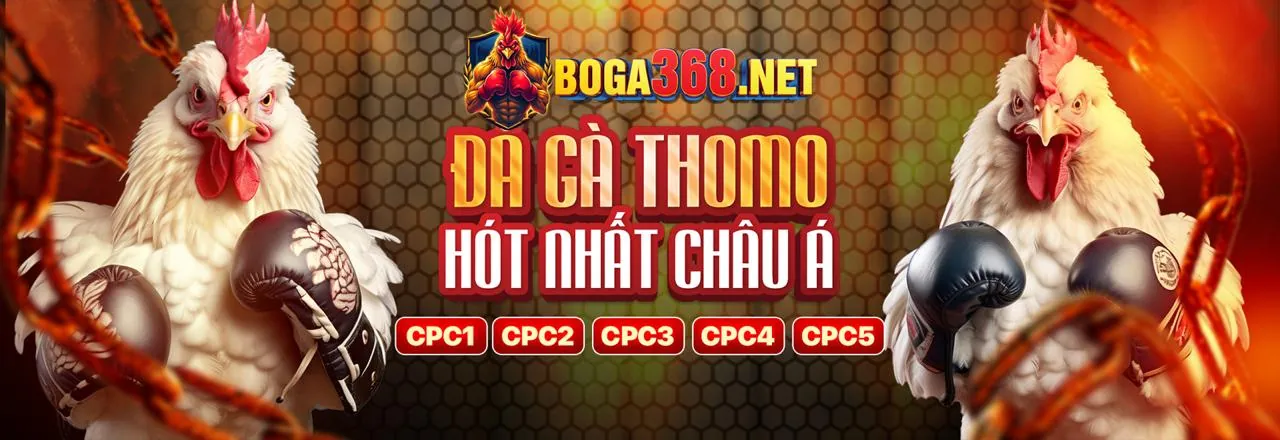 Đá gà trực tuyến kịch tính tại tt88win apk